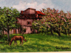 Quadro del 2009