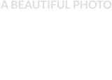A BEAUTIFUL PHOTO